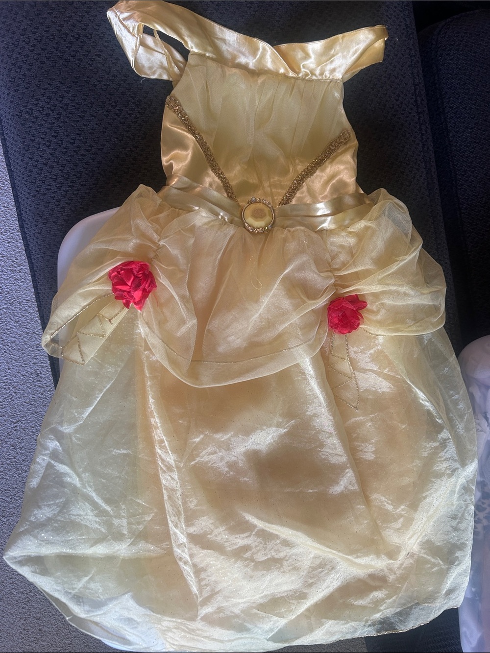 Disney Yellow Princess Dress with Red Flower Accents